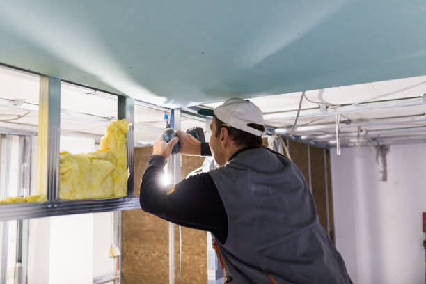 Best Types of Insulation in Goose Creek Village, VA