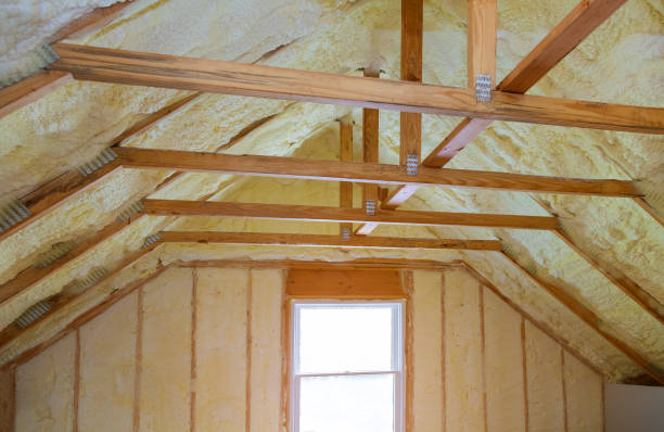 Best Insulation Maintenance and Repair in Goose Creek Village, VA