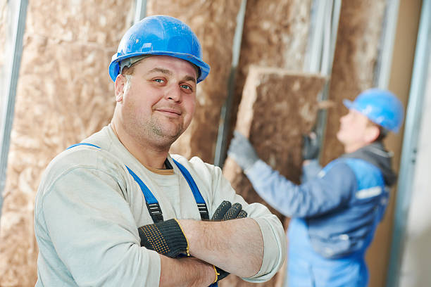 Best Insulation Installation Services in Goose Creek Village, VA
