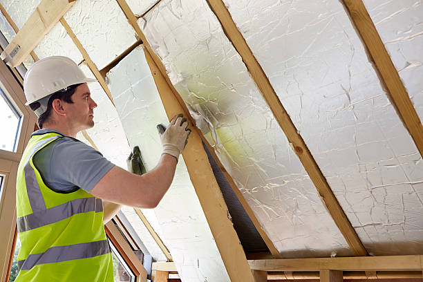 Best Insulation Materials and Products in Goose Creek Village, VA